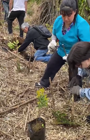 Vecinos reforestan bosque nativo con Fondo Comunitario de nuestra compañía
